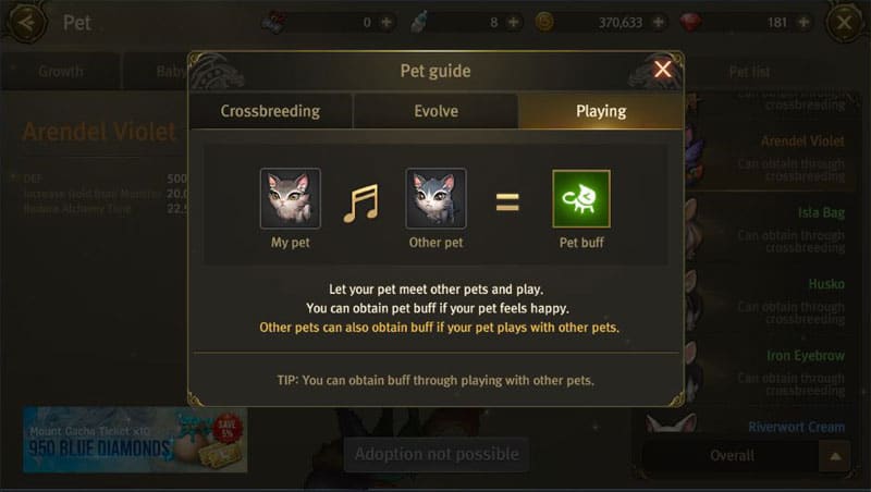 How to get pet buffs in World of Dragon Nest.