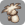 In-game icon of philanemo mushroom.