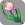 Rainbow-rose in-game icon.